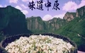 《味道中原》金蝉季节 超清(720P)