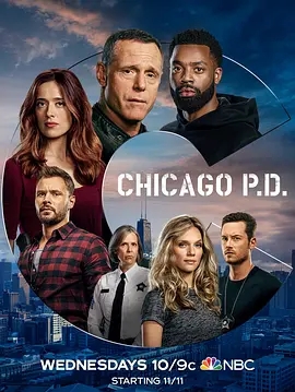 芝加哥警署 第八季 Chicago P.D. Season 8