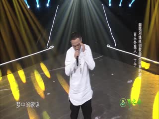 深圳卫视《歌手来了》第一季第6期丁于《回家的路》