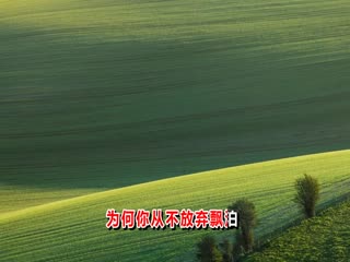 高胜美-哭砂-超清720P.qsv
