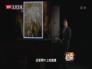 BTV档案之现代“神农” 袁隆平的田园梦-超清720P